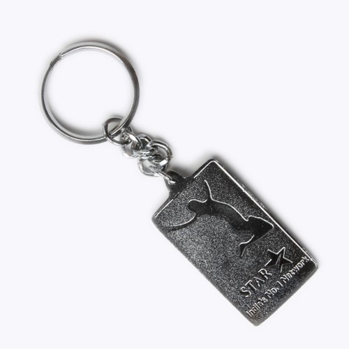 Keychain S19